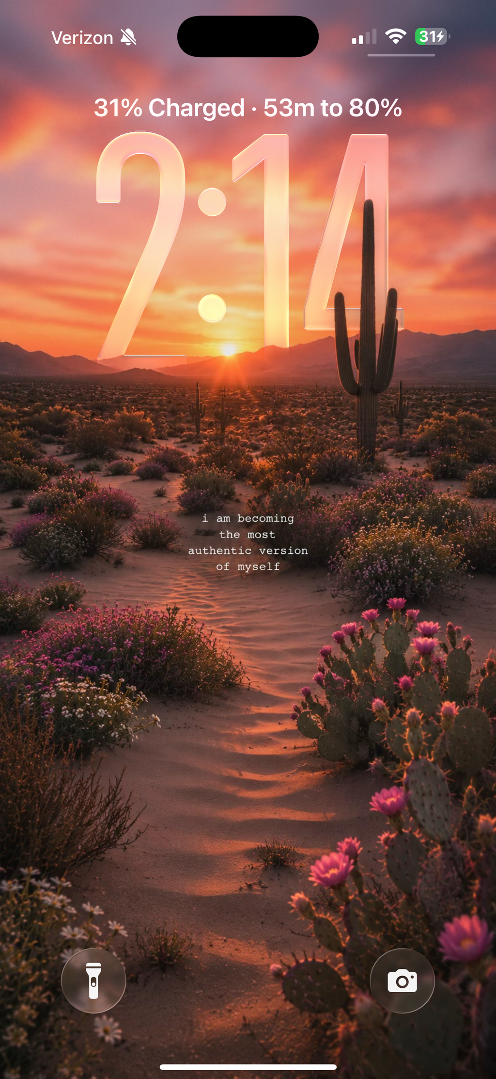 Wanderlust Abundance Wallpaper Collection